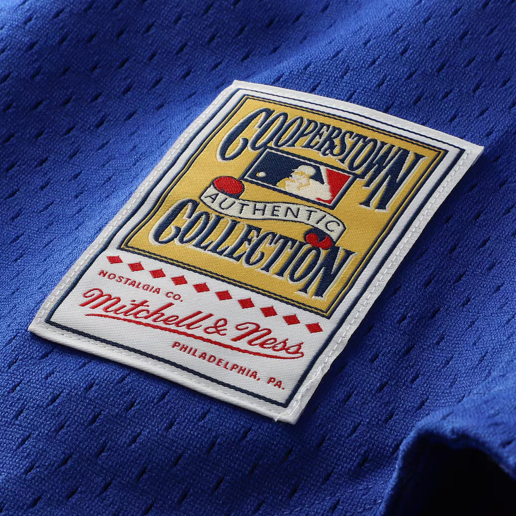 Mitchell & Ness Ryne Sandberg Chicago Cubs 1997 Authentic BP Button Down Jersey Official Team Jersey Sports Fan Apparel Official MLB Team Jersey Baseb