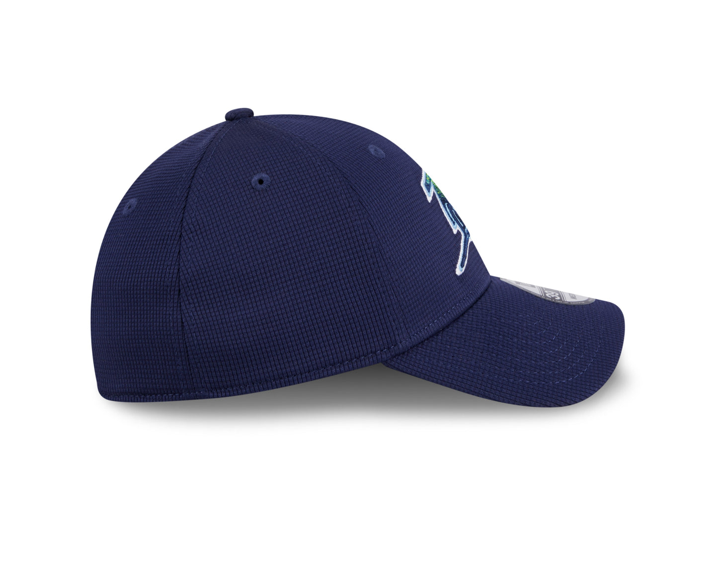Men's Tampa Bay Rays New Era 2024 Batting Practice Navy 39THIRTY Flex-Fit Hat Official Team Hat Sports Fan Cap Official MLB Team Hat Baseball Fan Cap