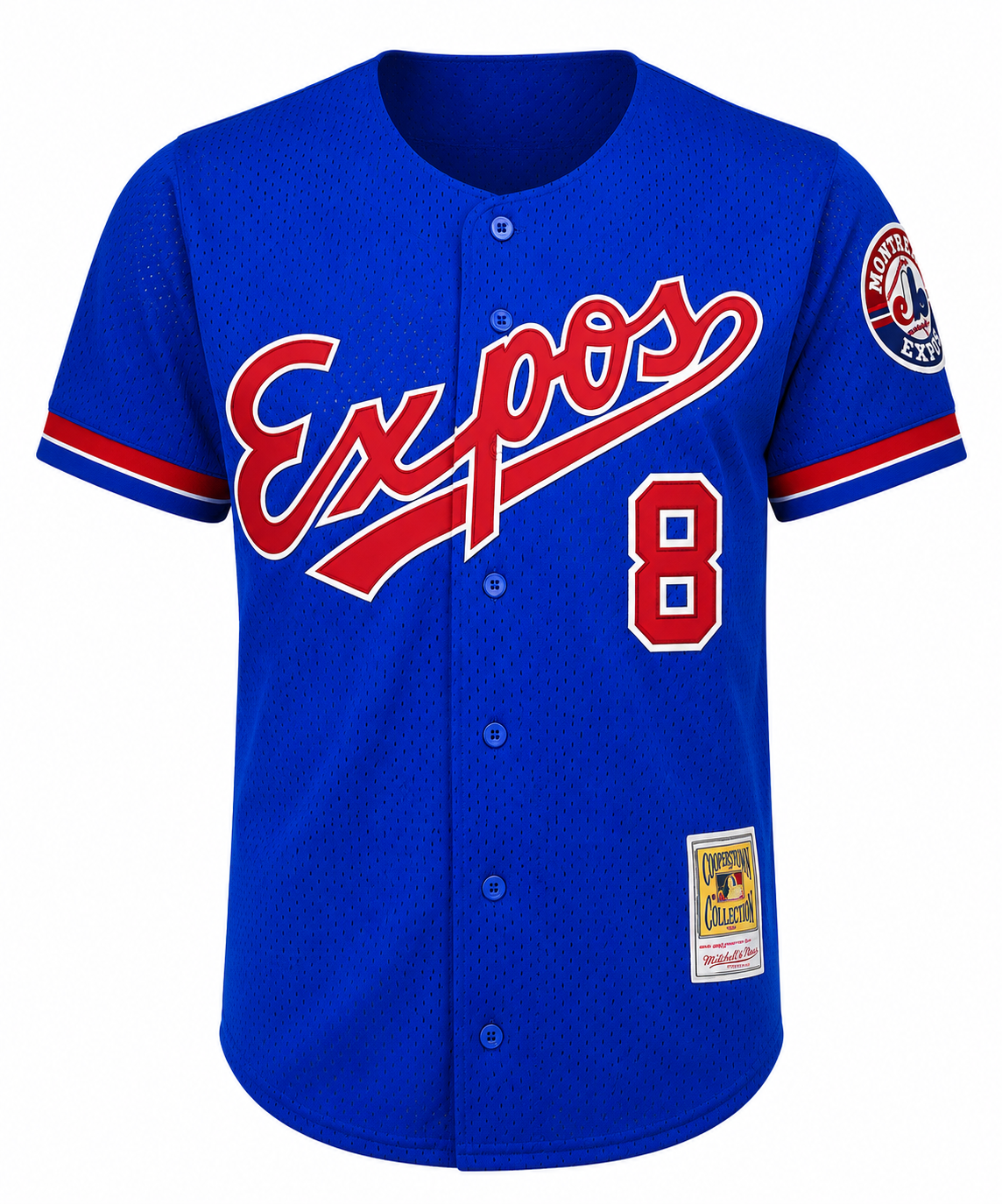 Men's Montreal Expos Gary Carter Mitchell & Ness Royal 1992 Authentic Cooperstown Collection Mesh Batting Practice Jersey Official Team Jersey Sports