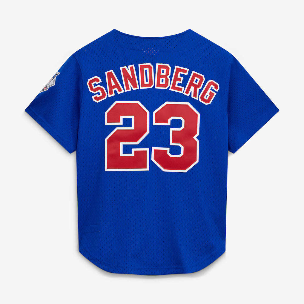 Mitchell & Ness Ryne Sandberg Chicago Cubs 1997 Authentic BP Button Down Jersey Official Team Jersey Sports Fan Apparel Official MLB Team Jersey Baseb