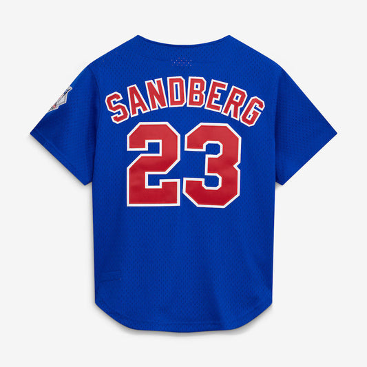 Mitchell & Ness Ryne Sandberg Chicago Cubs 1997 Authentic BP Button Down Jersey Official Team Jersey Sports Fan Apparel Official MLB Team Jersey Baseb