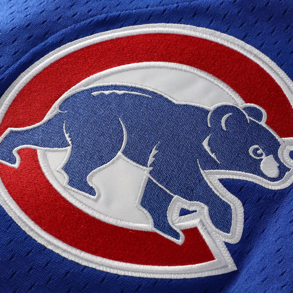 Mitchell & Ness Ryne Sandberg Chicago Cubs 1997 Authentic BP Button Down Jersey Official Team Jersey Sports Fan Apparel Official MLB Team Jersey Baseb